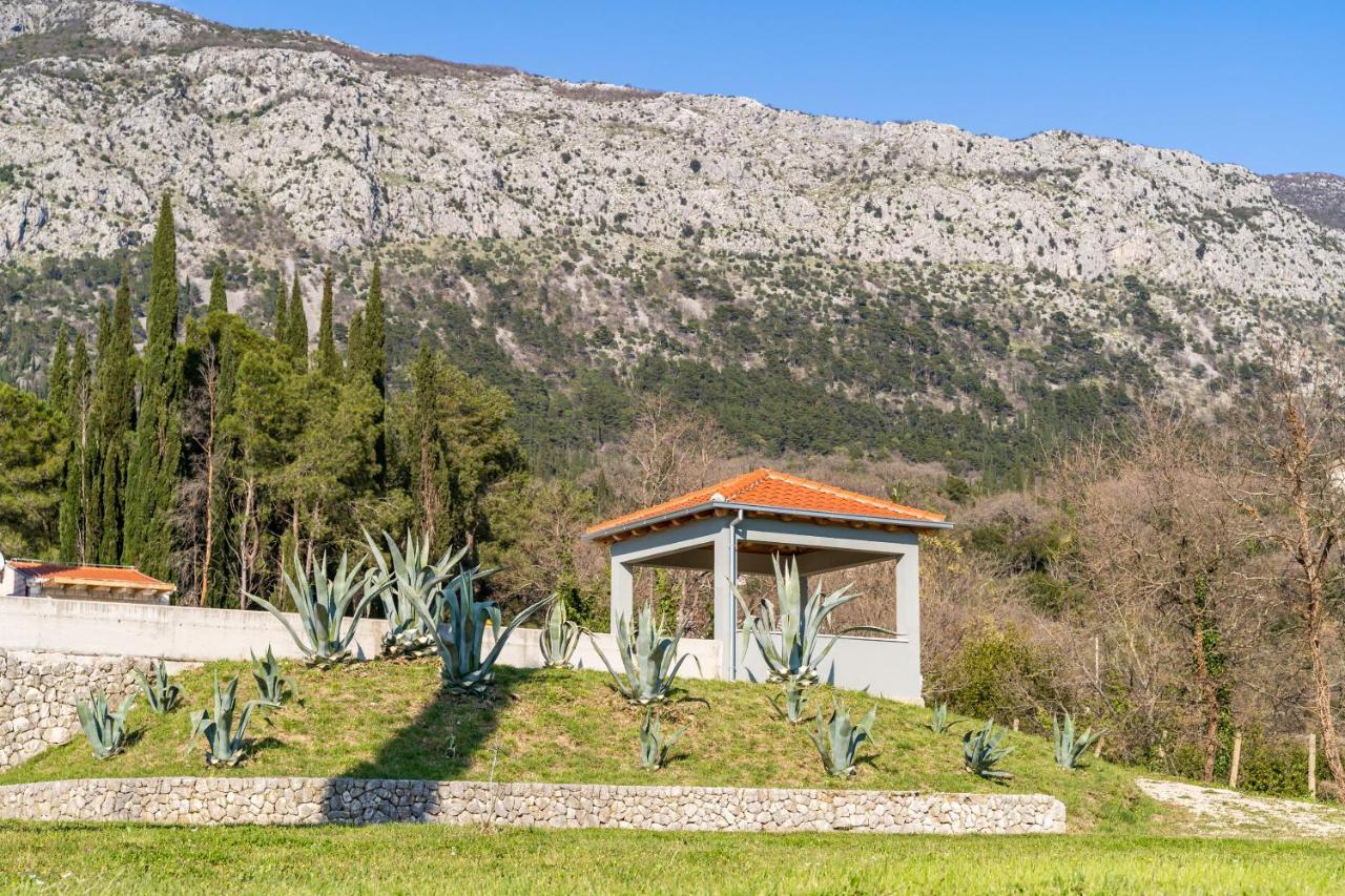 Villa Agave Gruda Zewnętrze zdjęcie