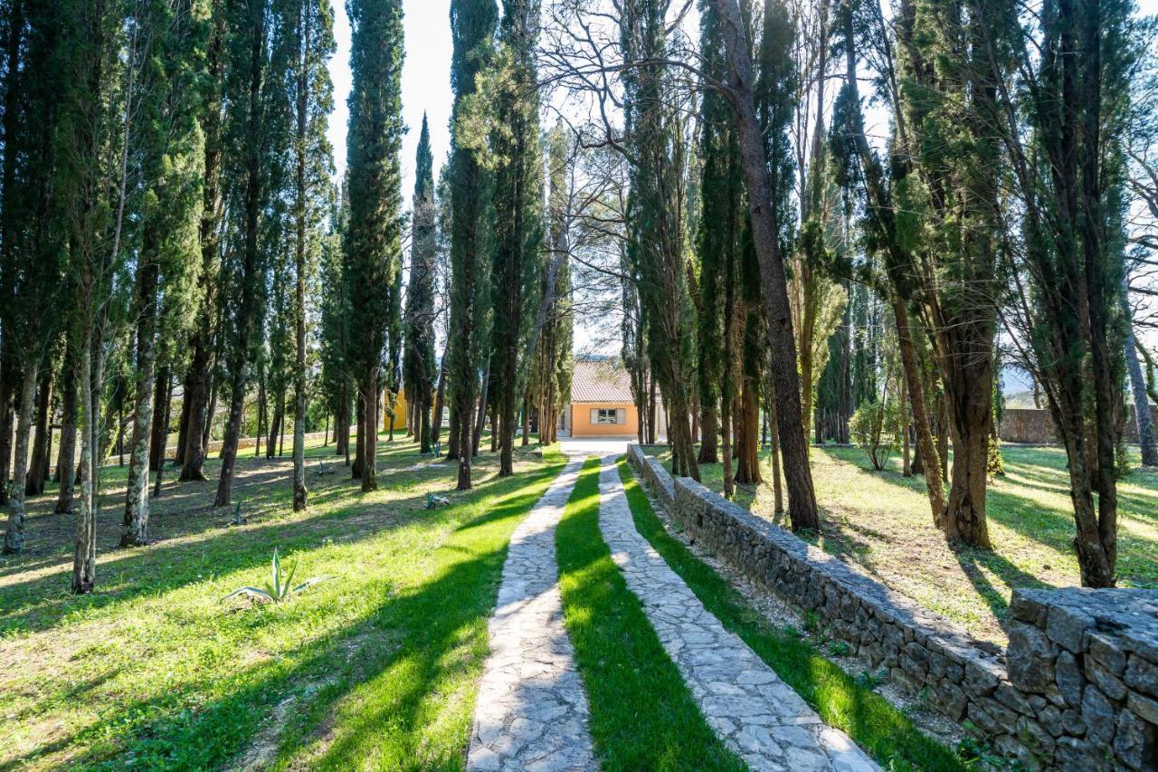 Villa Agave Gruda Zewnętrze zdjęcie