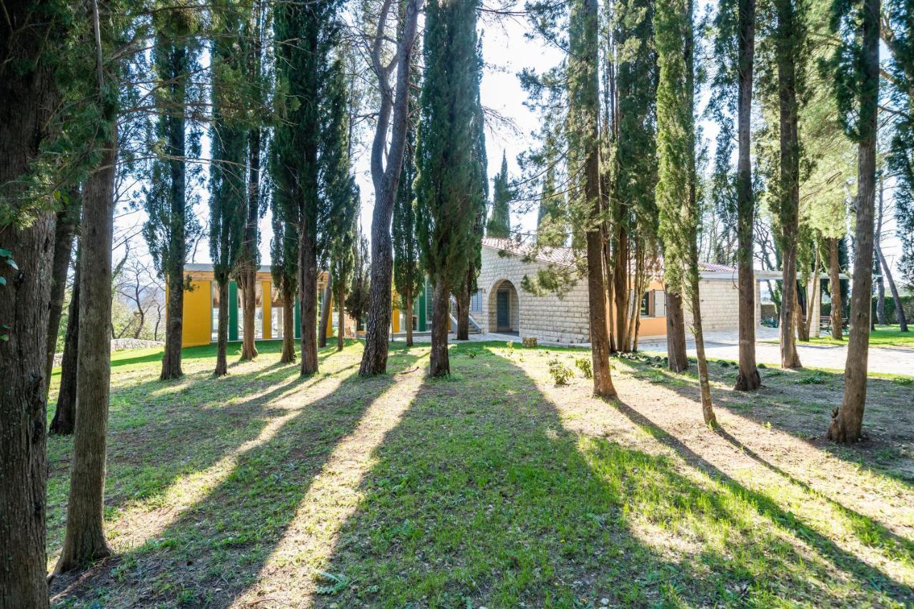 Villa Agave Gruda Zewnętrze zdjęcie
