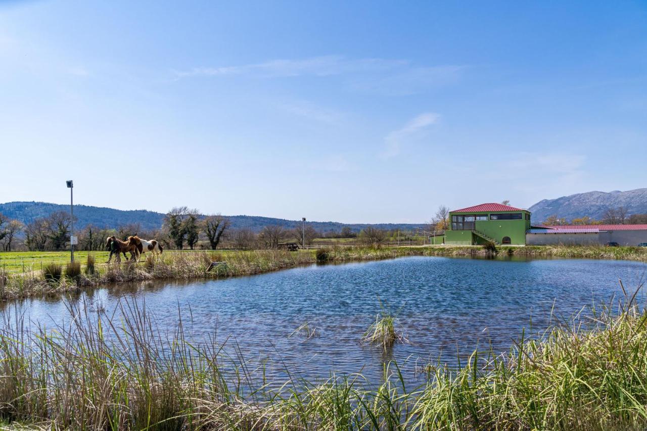 Villa Agave Gruda Zewnętrze zdjęcie